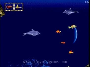 [MD]小海豚