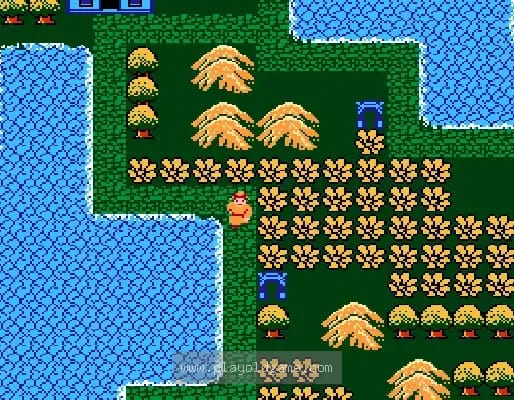 [FC]镜花缘