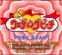 [SFC]三国志II