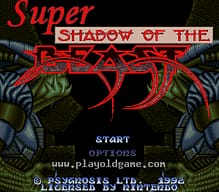 [SFC]神圣纪2
