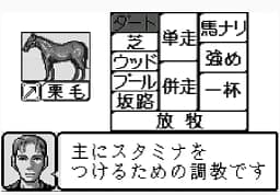 [WS]竞走马育成模拟