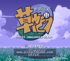 [SFC]猫仔哥棒球