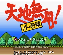 [SFC]天地无用游戏篇