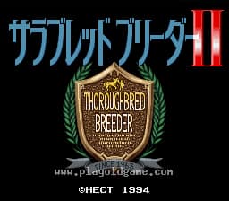[SFC]育马物语2