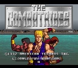 [SFC]庞克勇士