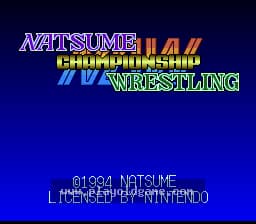 [SFC]全日本摔角