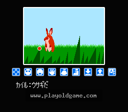 梦幻岛物语日版 截图2