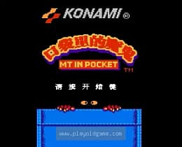 [FC]口袋魔鬼