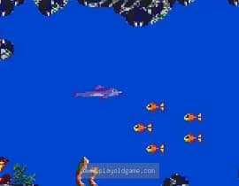 [GG]小海豚2