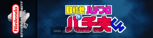 帕青哥君日版博弈 截图3