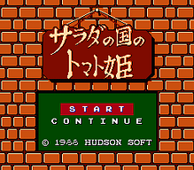 [FC]龙之忍者日版动作