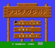 [FC]飞狼美版模拟射击