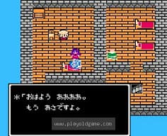 [FC]勇者斗恶龙3(日)