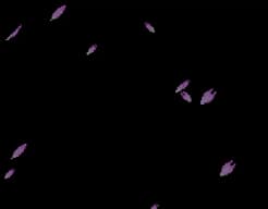 [GBA]战国革命外转