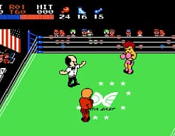 [FC]家庭拳击美版运动