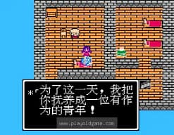 [FC]勇者斗恶龙3(汉)