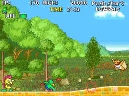 [Arc]鹦鹉历险记