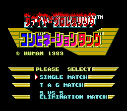 [PCE]火爆职业摔角标签组合日版