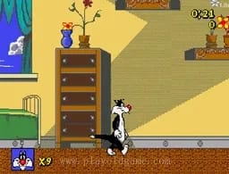 [MD]傻大猫和崔弟