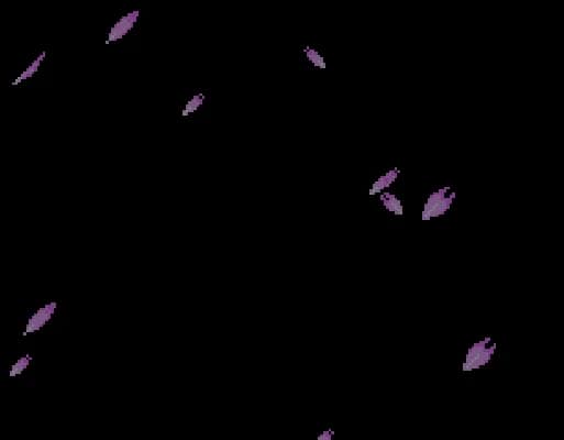 [GBA]战国革命外转